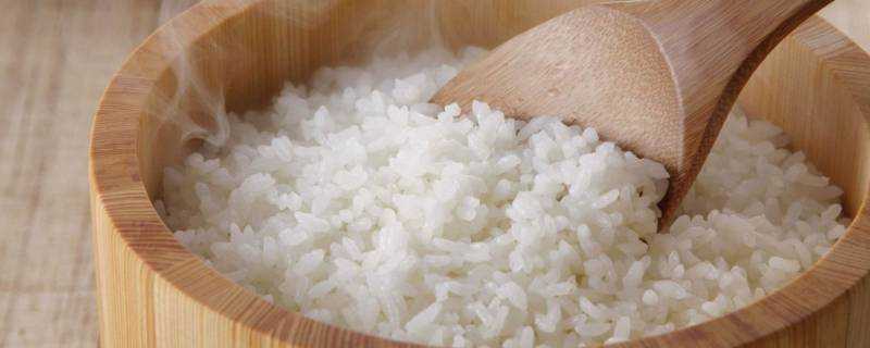 米飯放一晚上還能吃嗎