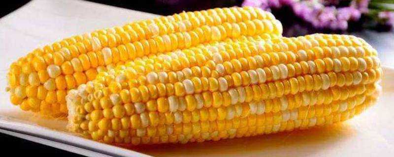 嫩玉米怎樣才能長期儲存