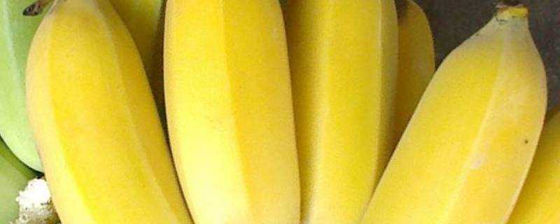 像香蕉的水果叫什麼