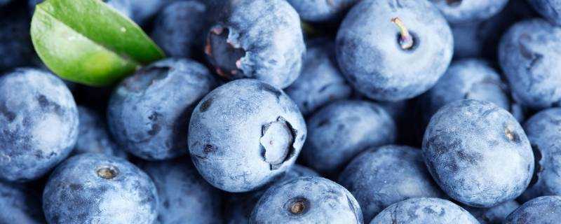藍莓葡萄的功效與作用