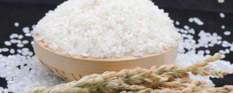 蟹田米和普通大米的區別