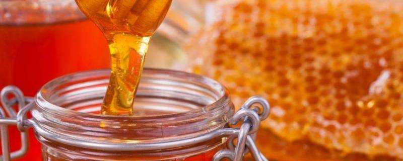 土蜂蜜帶苦味怎麼回事