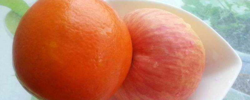 橙子和蘋果哪個糖分高