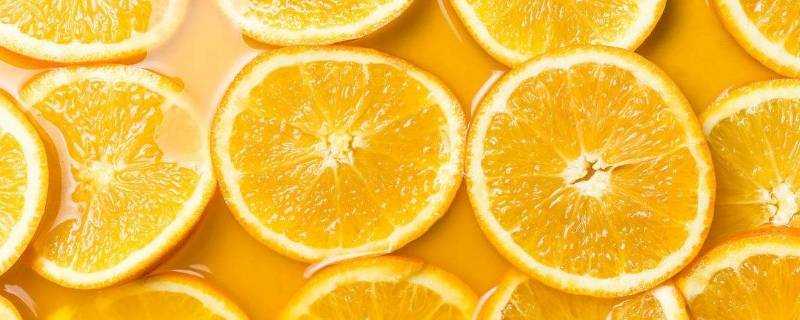 橙子是什麼季節的水果