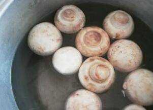 油蘑菇怎麼洗