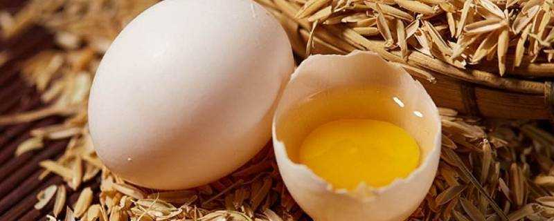 鴿子蛋煮熟是透明的嗎