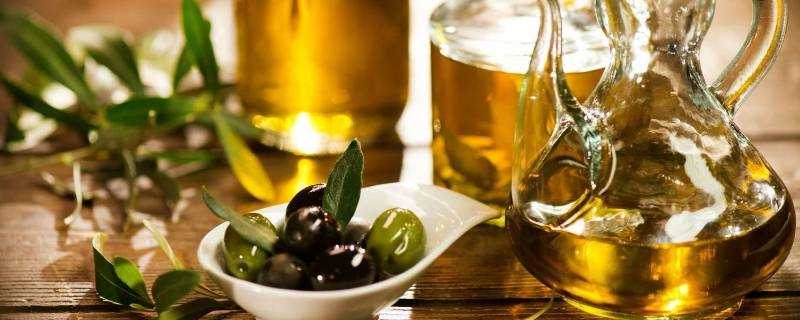 橄欖油的保質期是多久