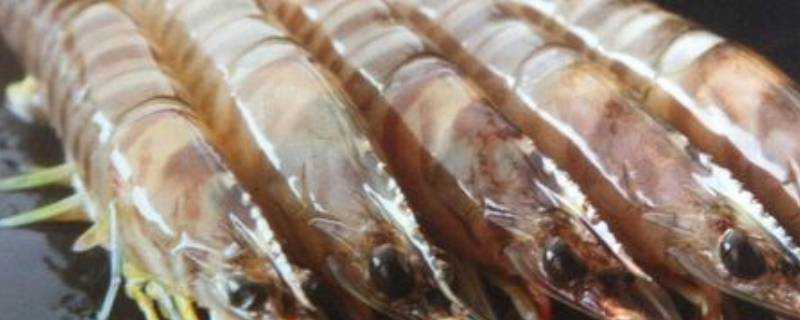 基圍蝦的蝦頭能吃嗎