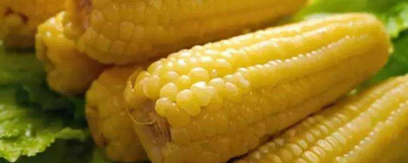 玉米蒸多久能蒸熟