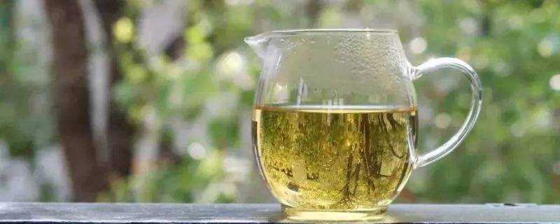 綠茶是酸性還是鹼性