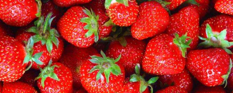 草莓洗完放一宿能吃嗎