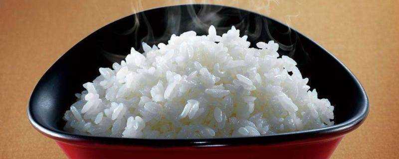米飯和紫薯哪個熱量高