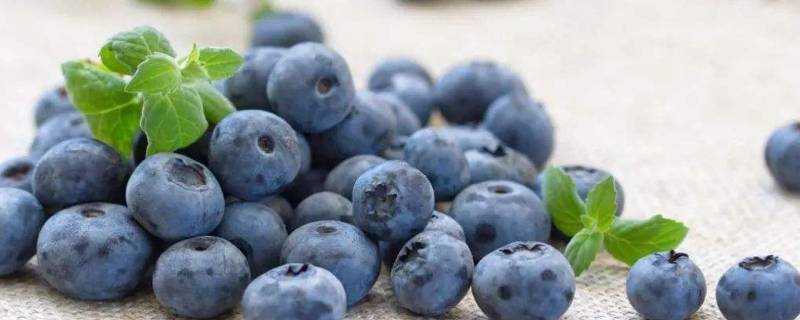 藍莓可以直接生吃嗎