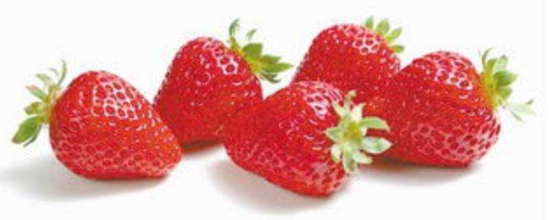 草莓的成熟週期多少天