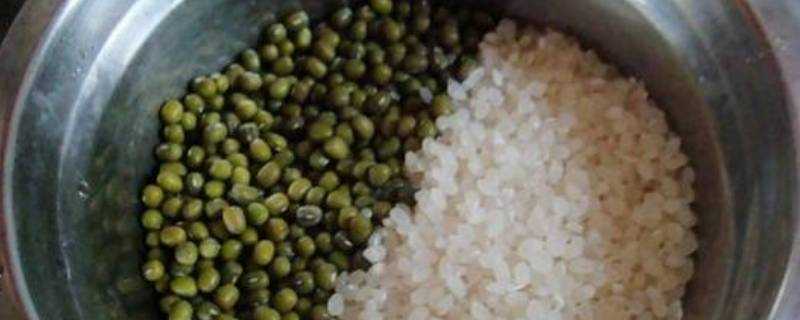 綠豆和米飯哪個熱量高