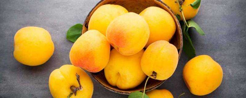 黃桃的營養價值有哪些