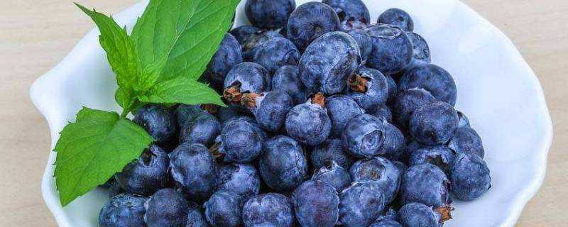 藍莓幹可以做果醬嗎