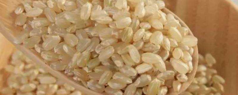 糙米可以用熱水煮嗎