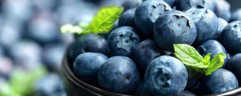 藍莓哺乳期可以吃嗎