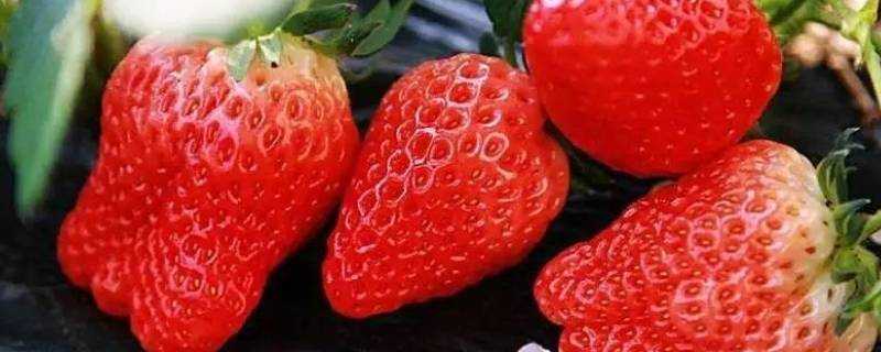 草莓變白了發軟能吃嗎
