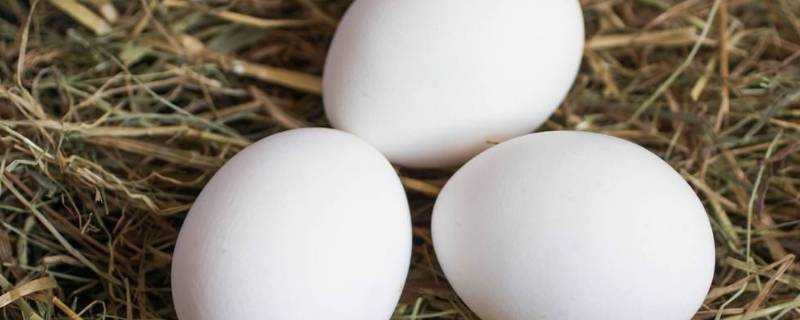 雞蛋怎麼存放避免發黴