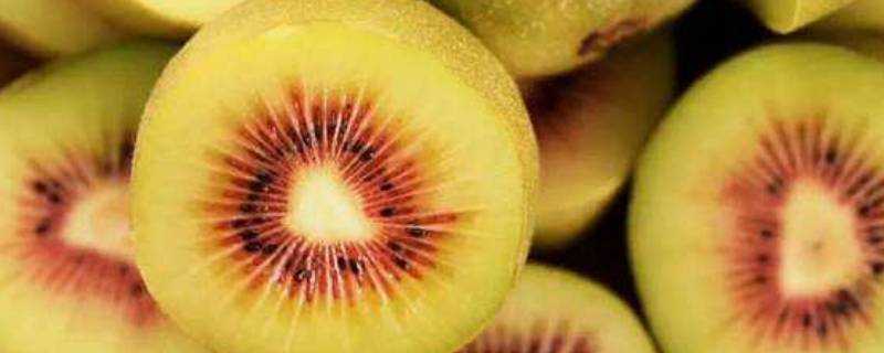 紅心獼猴桃不熟能吃嗎