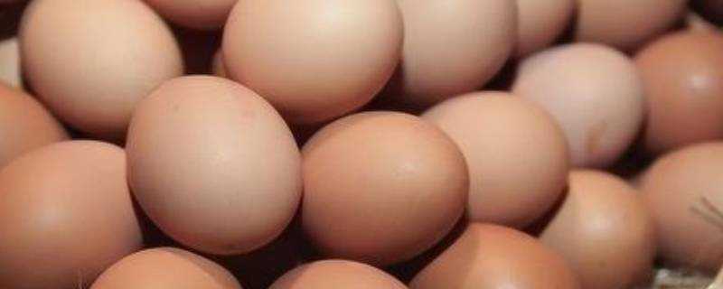 雞蛋常溫下能儲存多久