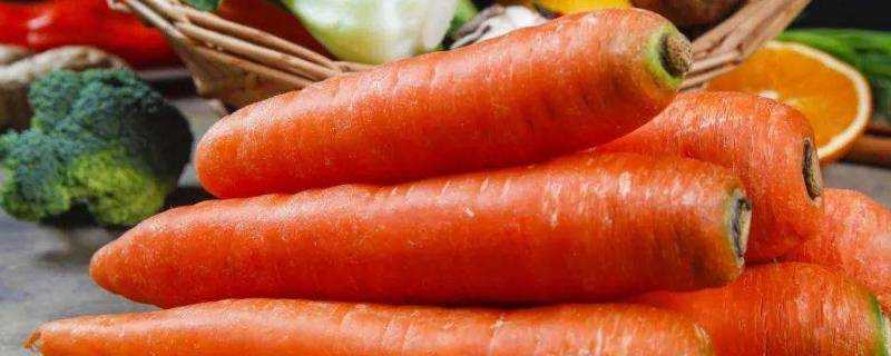 空心的胡蘿蔔可以吃嗎