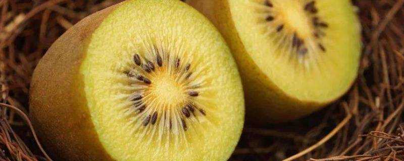 獼猴桃屬於什麼類水果