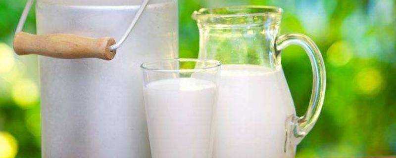生牛奶冷凍儲存可以嗎