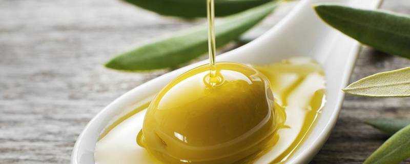 為什麼橄欖油有沉澱