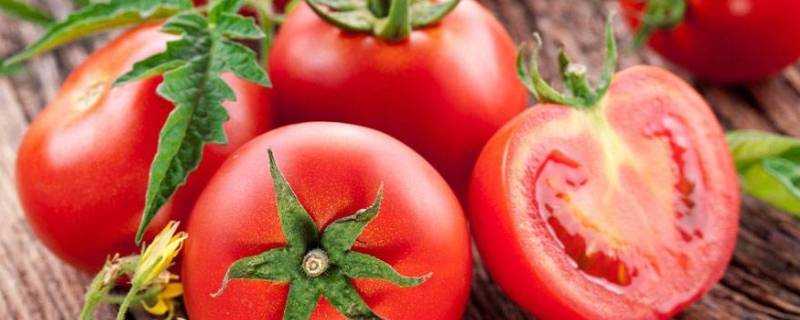 西紅柿煮多久最有營養