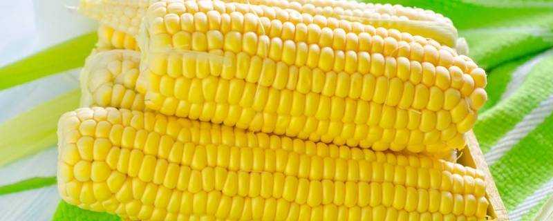 玉米是酸性還是鹼性