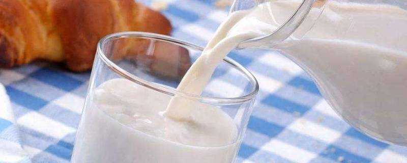 脫脂牛奶為什麼有腥味