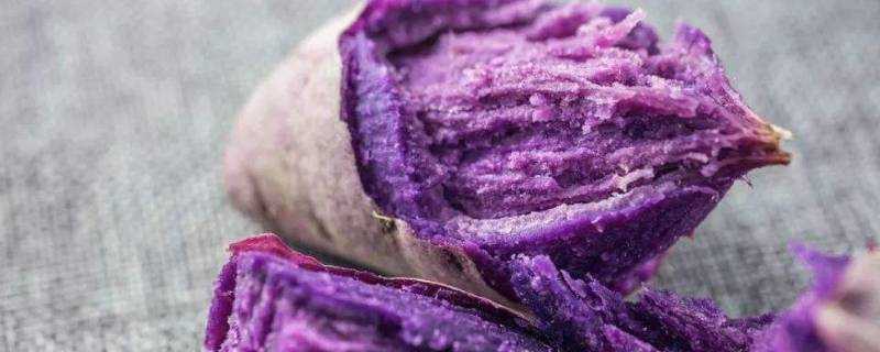 為什麼說紫薯是轉基因