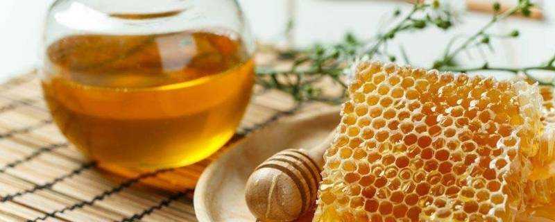 怎麼判斷蜂蜜是否變質