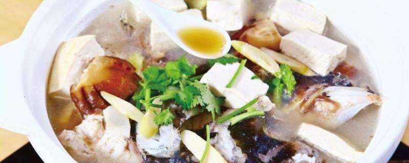 魚頭豆腐湯用什麼魚頭