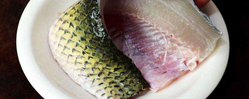 魚腩是蛋白質還是脂肪