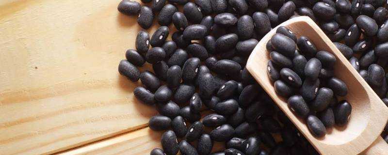 煮黑豆的水能喝嗎