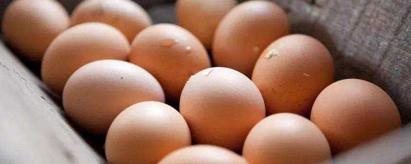 煮熟的雞蛋怎麼存放