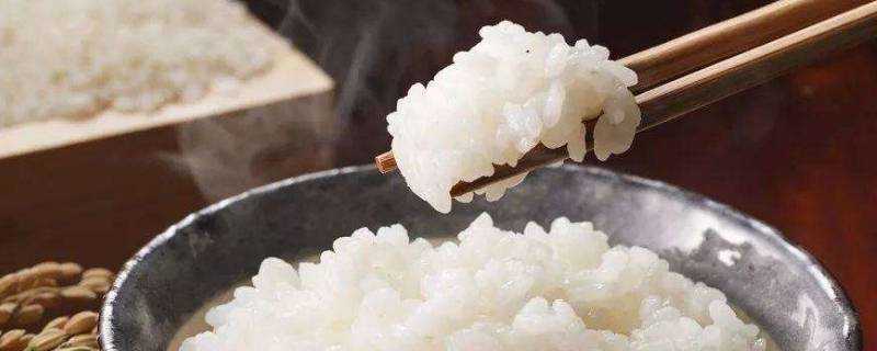 煮米飯水放少了怎麼辦