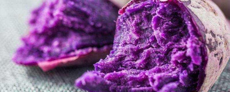 紫薯長毛了還能吃嗎