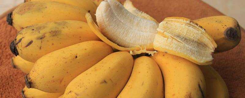 芭蕉和香蕉區別在哪