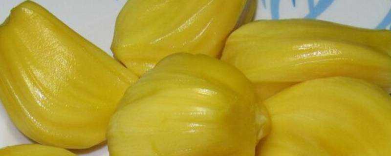 菠蘿蜜的白色粘液是什麼