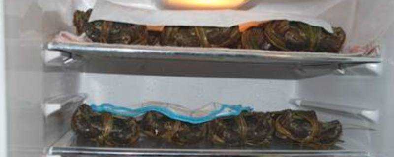 大閘蟹可以放冰箱幾天不死