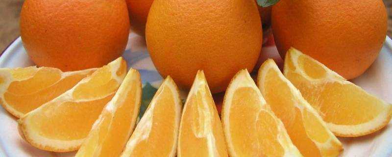 橙子裡面有蟲子是怎麼回事