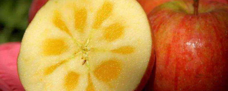 蘋果糖心是如何形成的