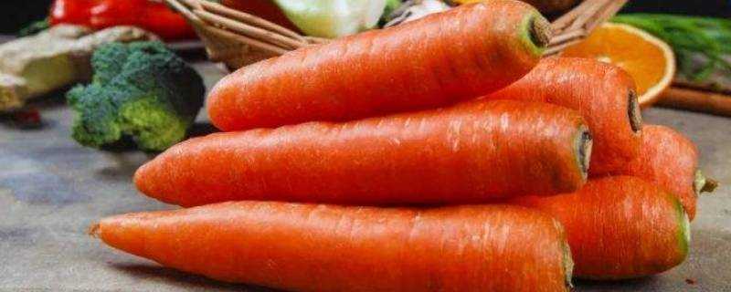 胡蘿蔔放冰箱可以放多久