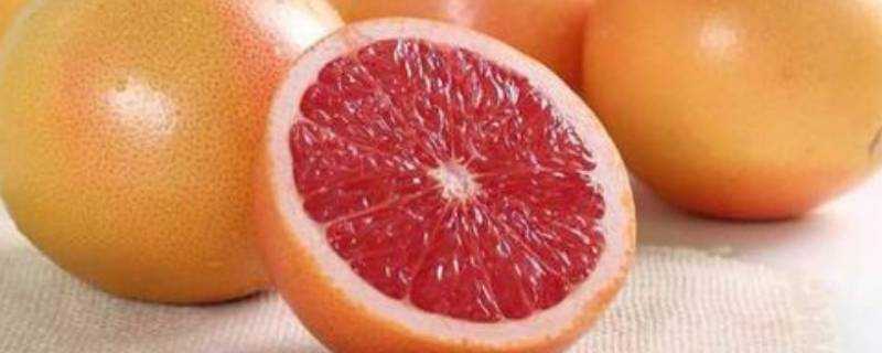紅心柚子可以代替西柚嗎