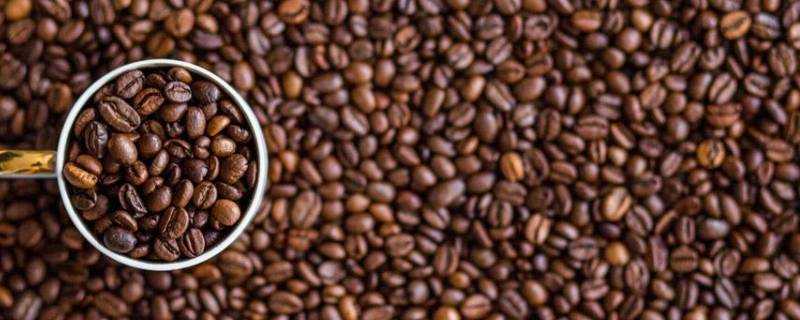咖啡豆磨成粉可以存放多久